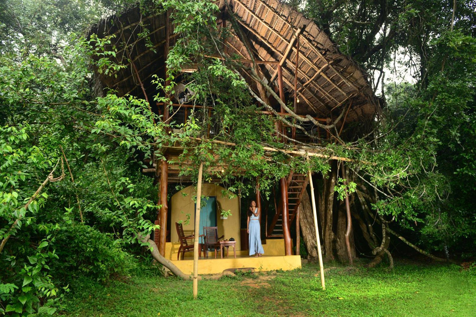 Back Of Beyond - Wild Haven Villa Sigiriya Exteriör bild
