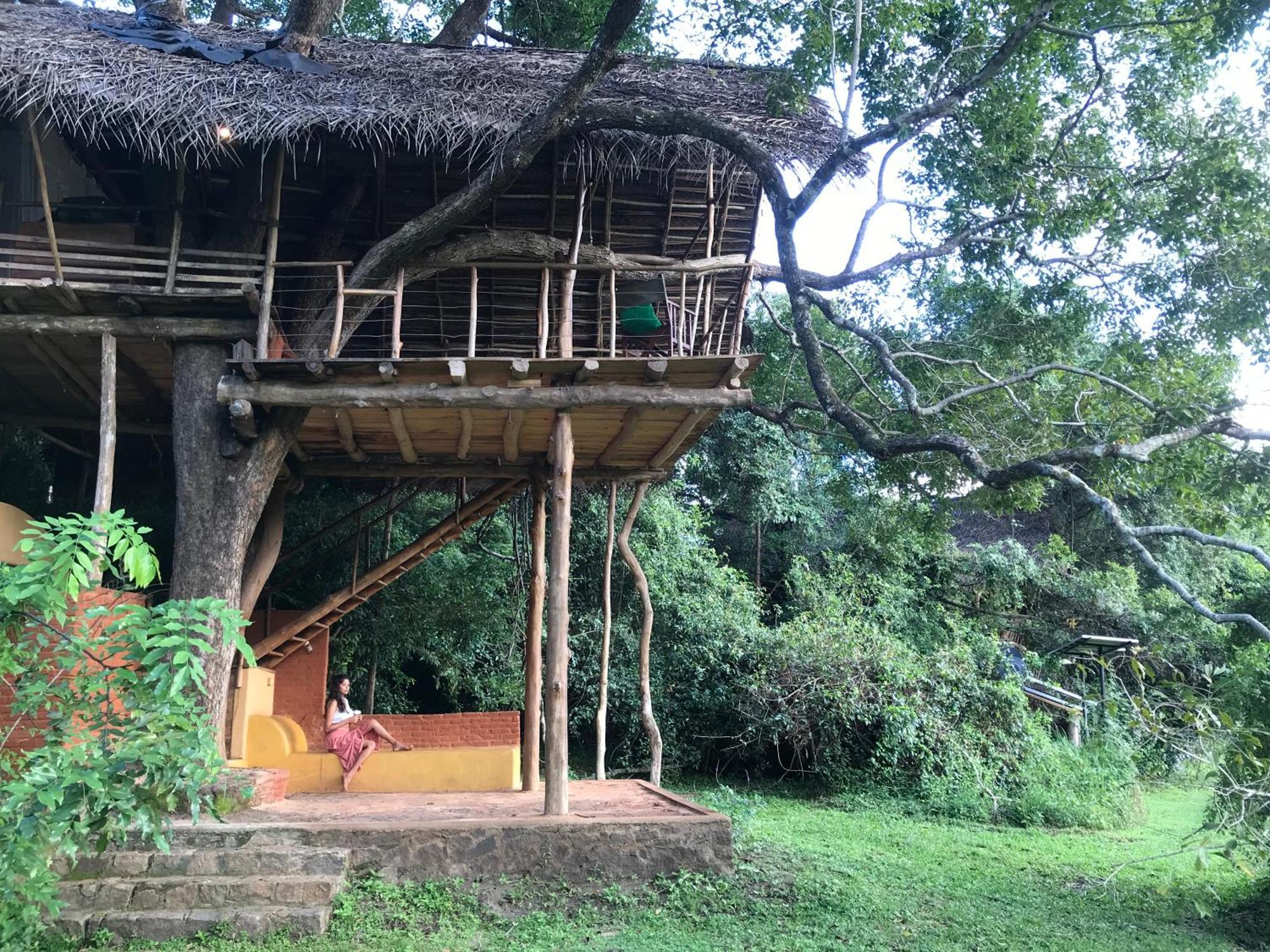 Back Of Beyond - Wild Haven Villa Sigiriya Exteriör bild