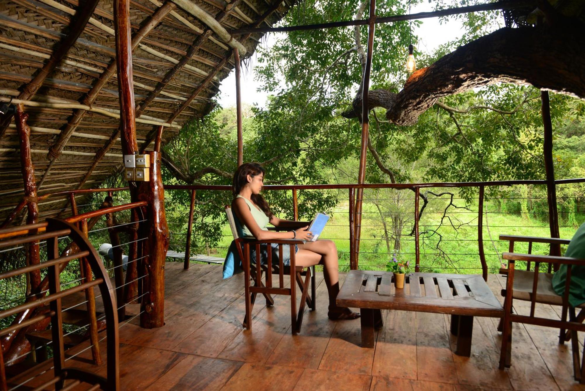 Back Of Beyond - Wild Haven Villa Sigiriya Exteriör bild