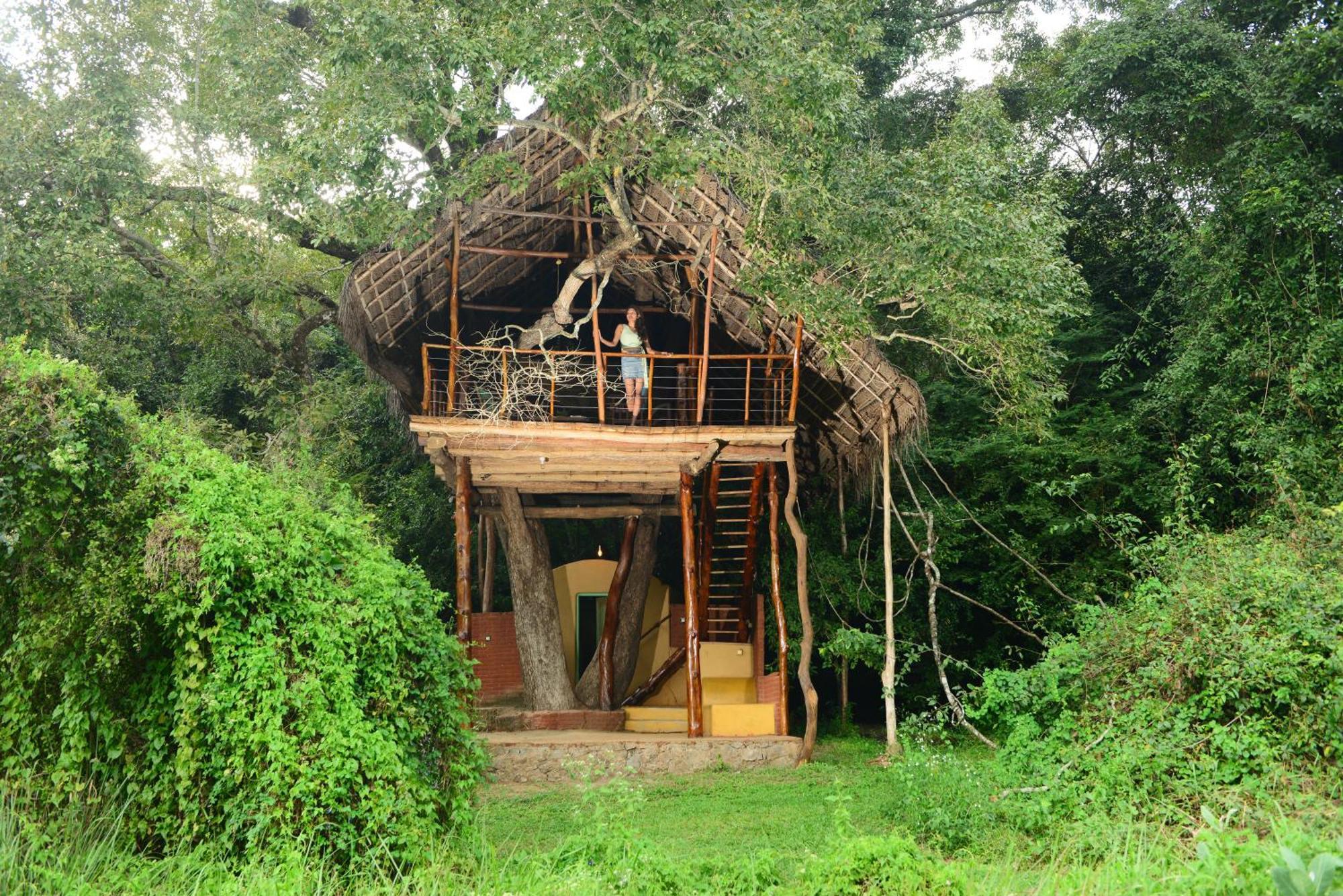 Back Of Beyond - Wild Haven Villa Sigiriya Exteriör bild