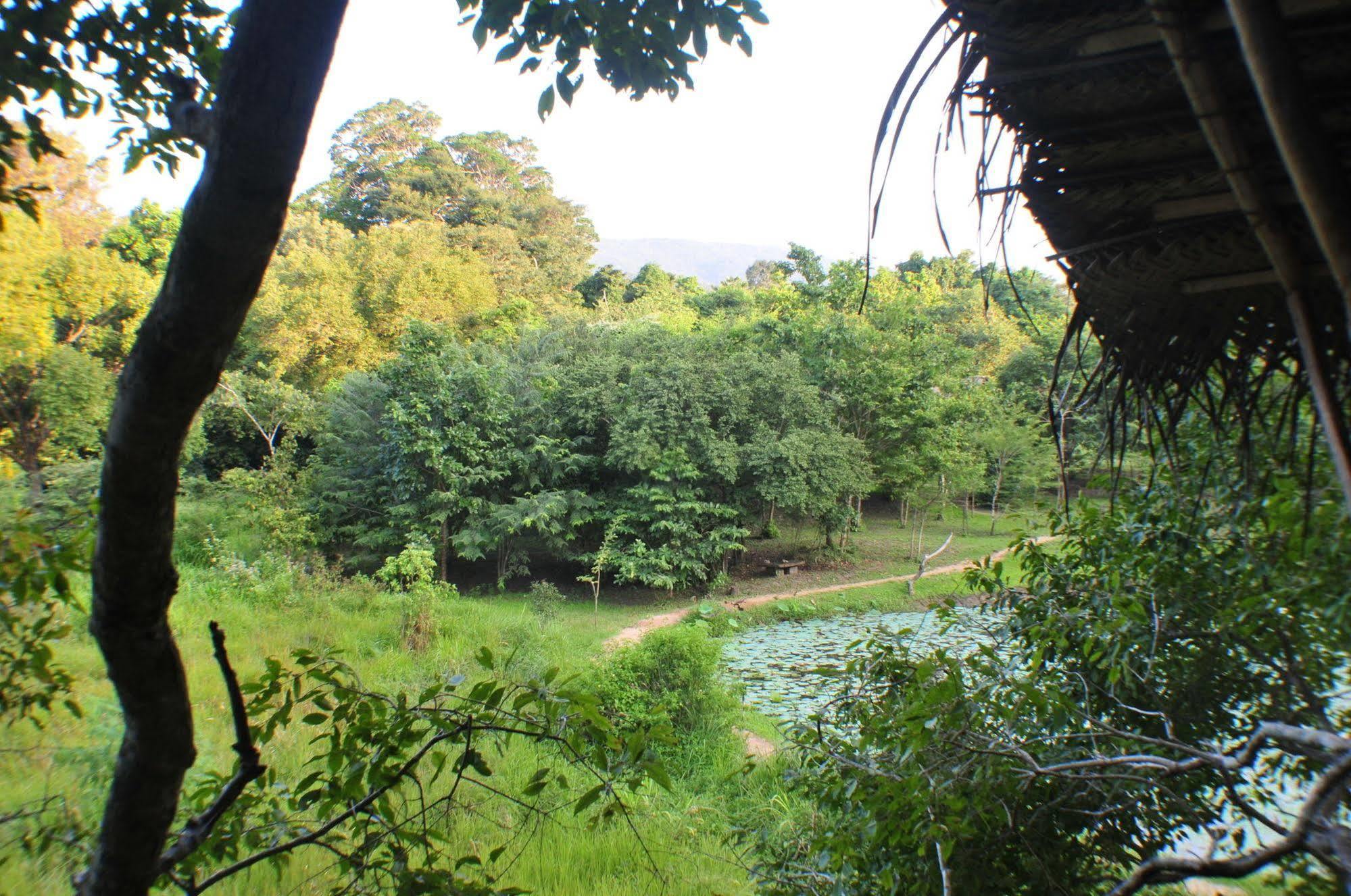Back Of Beyond - Wild Haven Villa Sigiriya Exteriör bild