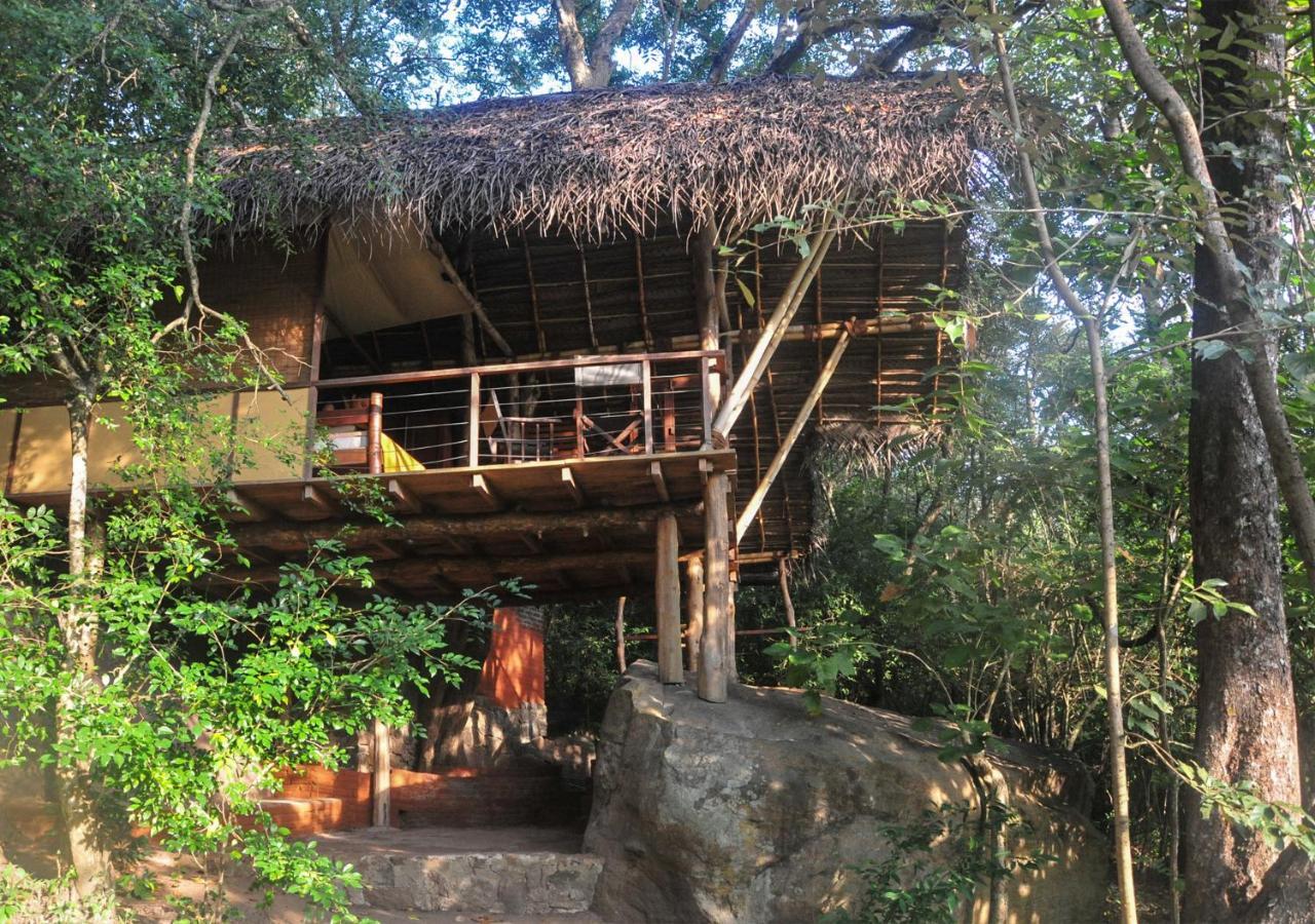 Back Of Beyond - Wild Haven Villa Sigiriya Exteriör bild