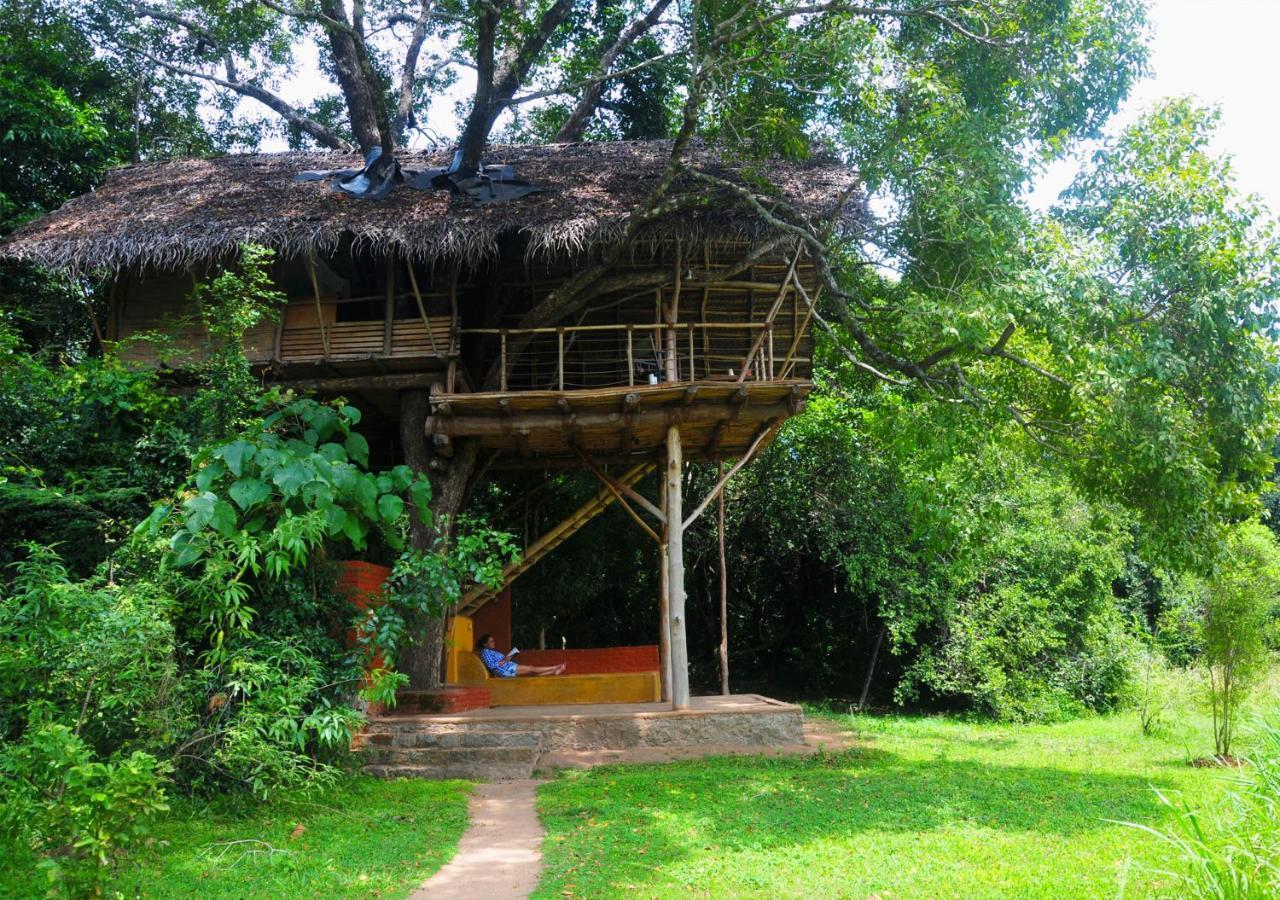 Back Of Beyond - Wild Haven Villa Sigiriya Exteriör bild