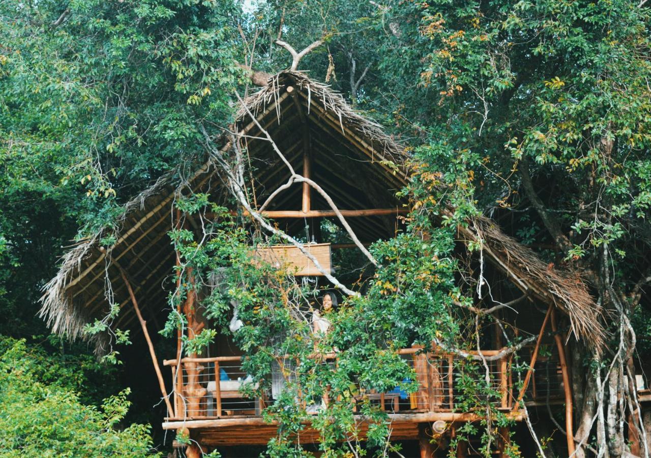 Back Of Beyond - Wild Haven Villa Sigiriya Exteriör bild