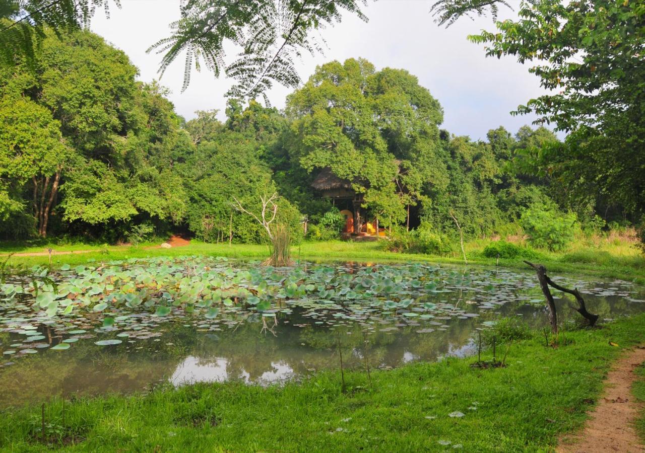 Back Of Beyond - Wild Haven Villa Sigiriya Exteriör bild