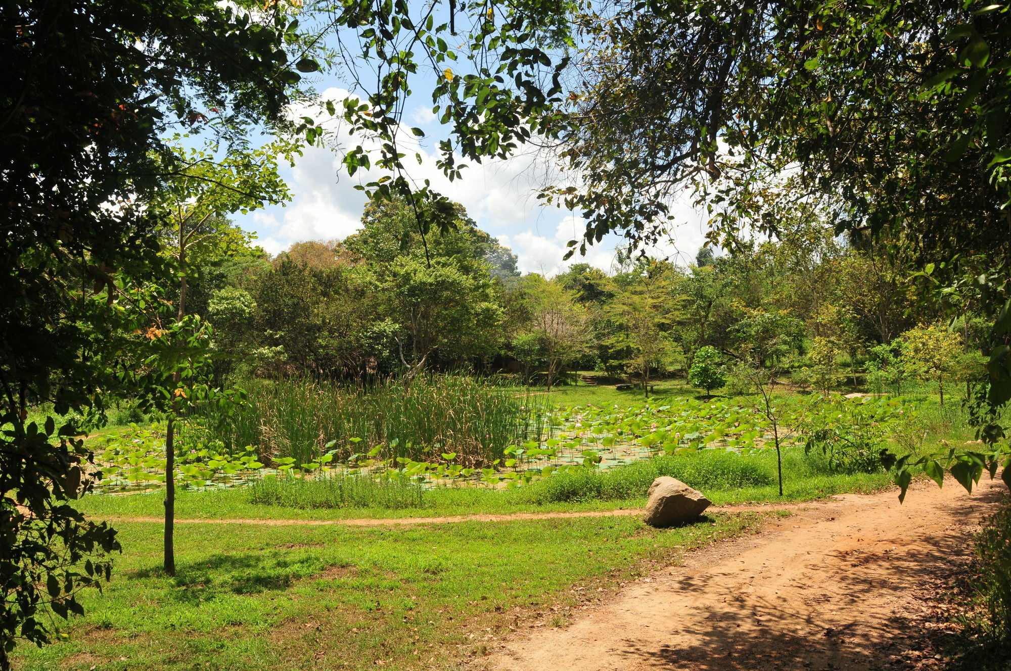Back Of Beyond - Wild Haven Villa Sigiriya Exteriör bild